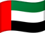 United Arab Emirates flag